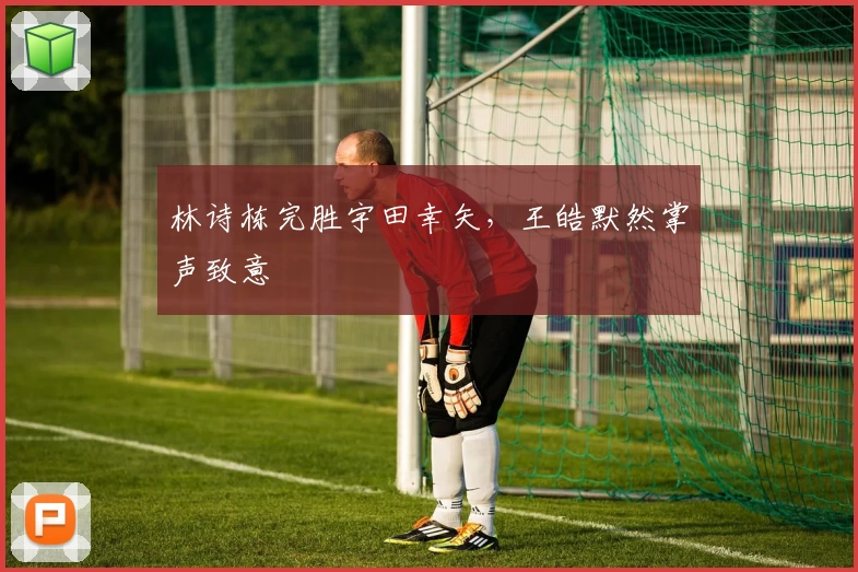 林诗栋完胜宇田幸矢，王皓默然掌声致意